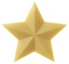 Bild von Pflanzenölseife Stern, 50 g, Speick