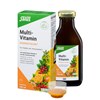 Bild von Multi-Vitamin-Energetikum N, 250 ml, Salus