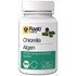 Bild von Chlorella Tabletten Dose bio, 200 TBL, Raab Vitalfood