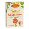 Bild von Zahnpflege Natur Kaugummi Frucht, 28 g, Birkengold