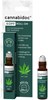 Bild von cannabidoc Kopf Roll-ON , 10 ml, guterRat