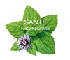 Bild von Sante Make up Umrüstpaket 10-2024, 1 Disp, SANTE NATURKOSMETIK