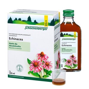 Bild von Echinacea (Sonnenhut), 600 ml, Schoenenberger