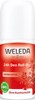 Bild von Granatapfel 24h Deo Roll-On, 50 ml, Weleda