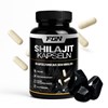 Bild von Shilajit Kapseln, 60 KPS, Fitgun