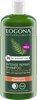 Bild von Intense Repair Shampoo Schachthalm, 250 ml, LOGONA NATURKOSMETIK