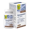 Zeige Details für Resveratrol mit OPC Kapseln, 90 Stk, Raab Vitalfood Bild von Resveratrol mit OPC Kapseln, 90 Stk, Raab Vitalfood