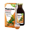 Bild von Magnesium-Mineral-Drink, 250 ml, Salus