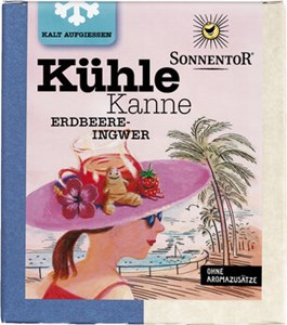 Bild von Erdbeer-Ingwer Kühle Kanne 16 Pyram, 45 g, Sonnentor