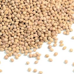 Bild von Kirschkerne lose, 2 kg, NaturGut