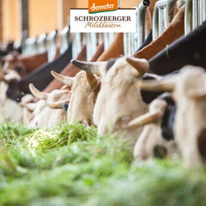 Bild von Pflaume Van. Jogh. Winter 25, 500 g, Schrozberger Milchbauern