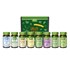 Bild von Geschenkbox Salat Liebe, 1 Stk, Brecht