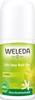 Bild von Citrus 24h Deo Roll-On, 50 ml, Weleda