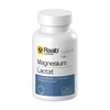 Bild von Magnesium Lactat, 90 KPS, Raab Vitalfood